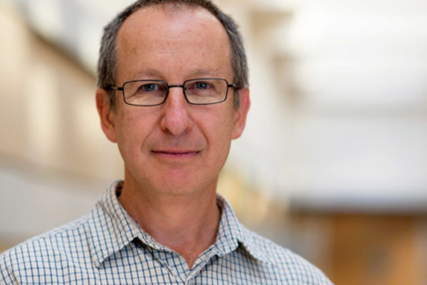 Kaufman Named Director of PhD Program in Peace Studies